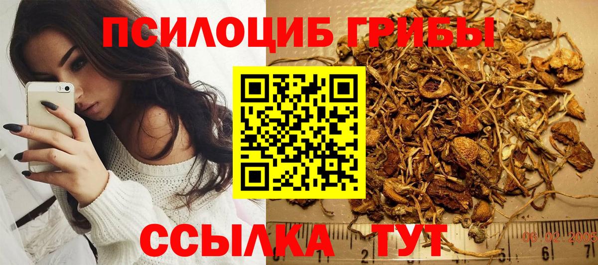 Псилоцибиновые грибы мухоморы  где купить наркоту  Вход с VPN  Алатырь  Псилоцибиновые грибы Psilocybe 