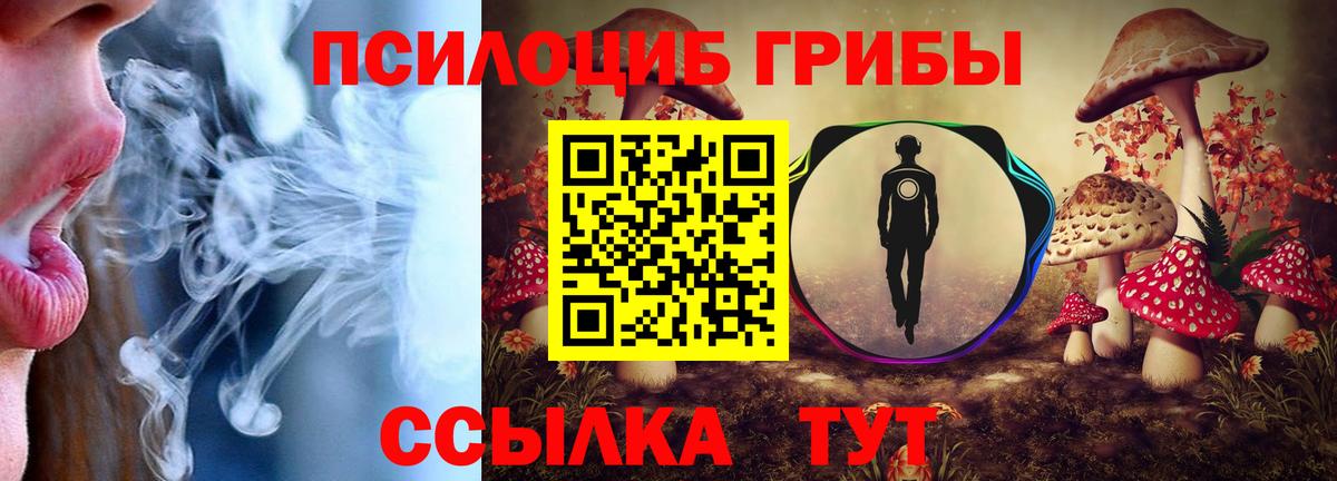 Псилоцибиновые грибы ЛСД Алатырь